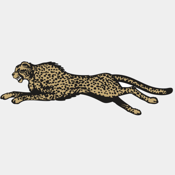 BAW CHEETAH 01 RC Thumbnail