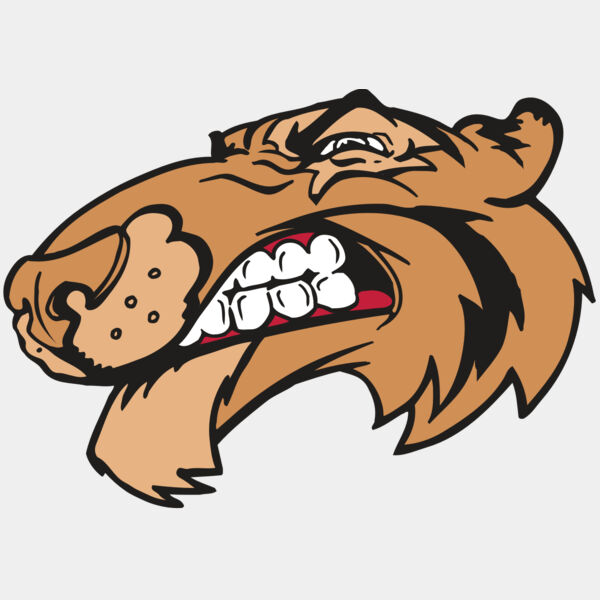 AR5 Tiger 13 RQC Thumbnail