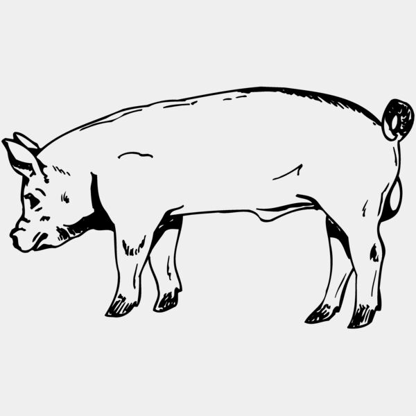 HOG0006 Thumbnail