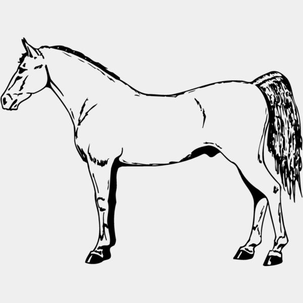 HORSE026 Thumbnail