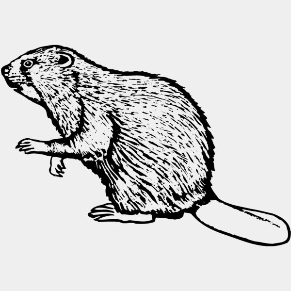 BEAVER03 Thumbnail