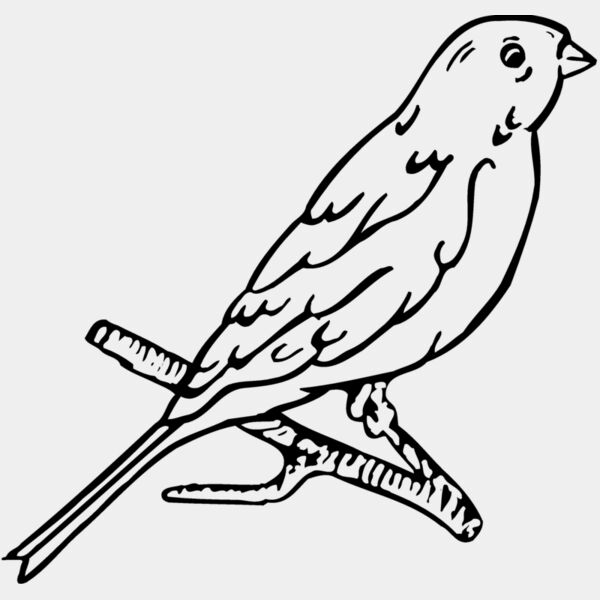 BIRD015 Thumbnail