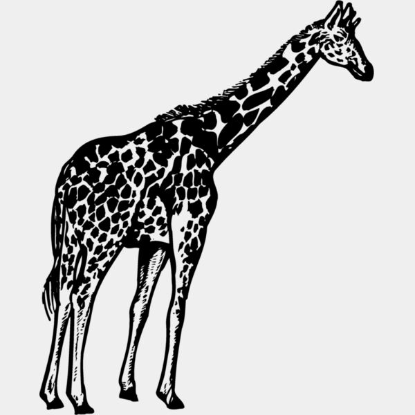 GIRAFF02 Thumbnail