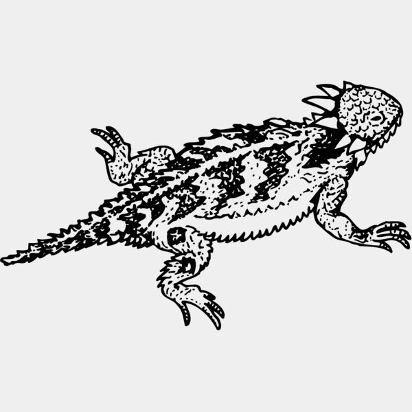 IGUANA01 Thumbnail