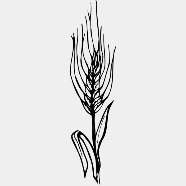 GRAIN009 Thumbnail