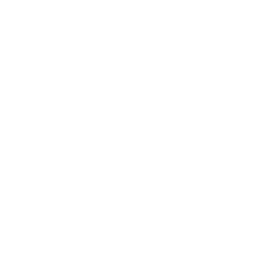 Knox Vintage Pet Project
