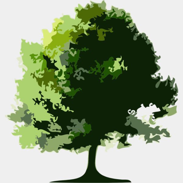 Tree 20 Thumbnail