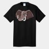 Tall Core Cotton Tee Thumbnail